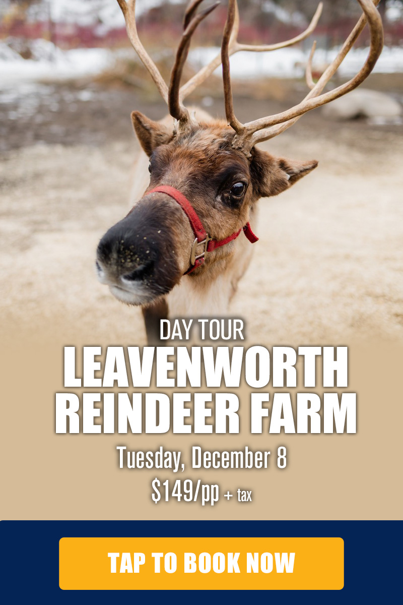 leavenworth-reindeer-2026-MOB-800x1200-TOURS