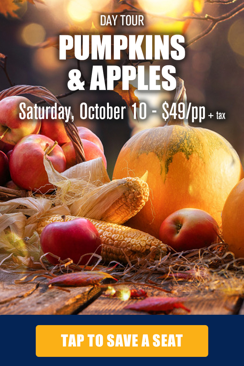 pumpkins-and-apples-TOURS-MOB-800x1200