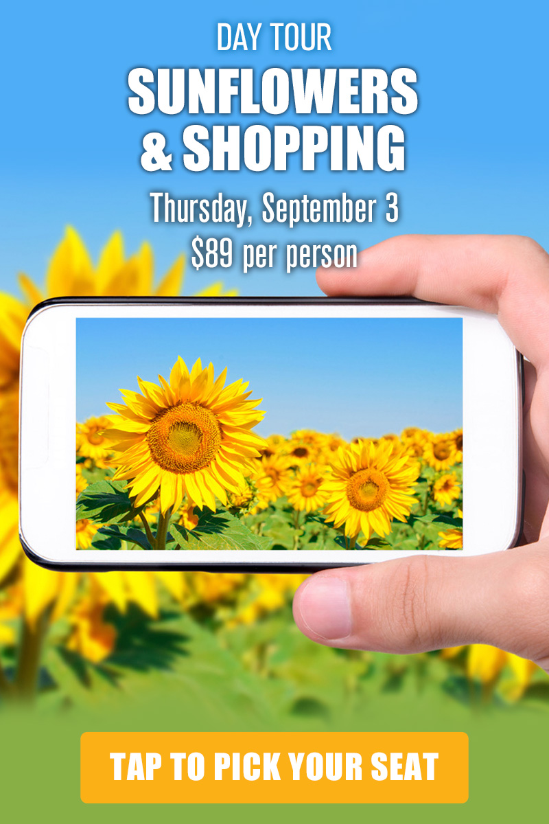 sunflower-and-shopping-TOURS-MOB-800x1200