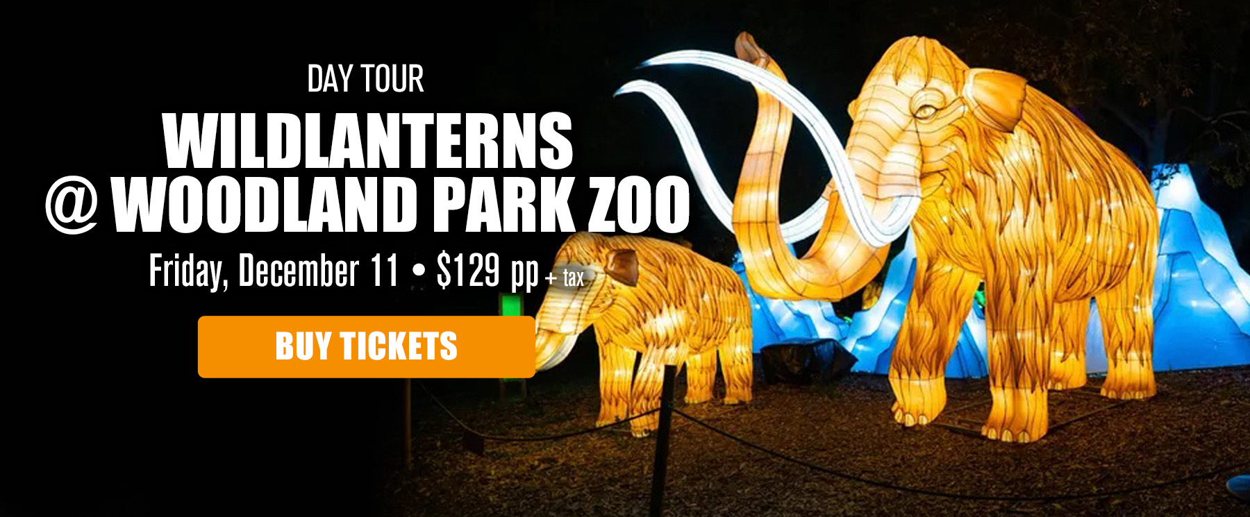 wildlanterns-2026-TOURS-1800x745